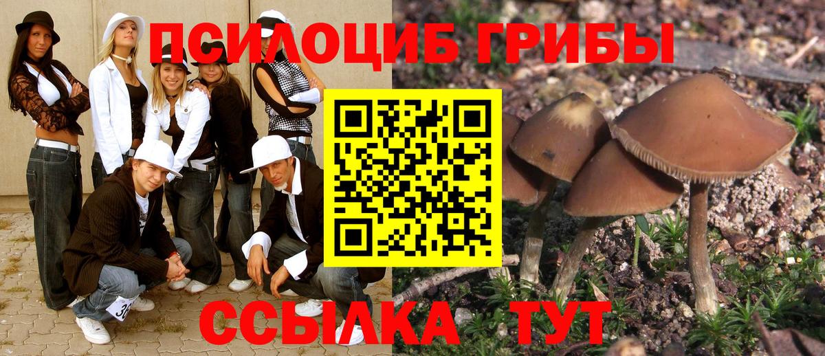 Свободный  Галлюциногенные грибы Cubensis  Вход с VPN 